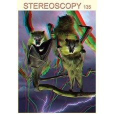 Stereoscopy # 135 (Issue 3.2023) 