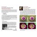 Stereoscopy # 143 (Issue 3.2025) 