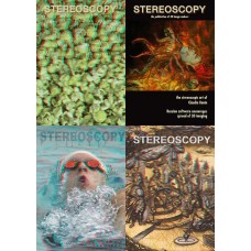 Stereoscopy 2008 (4 issues, #73-76)