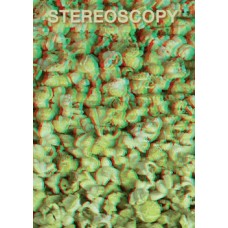Stereoscopy # 73 (Issue 1.2008)