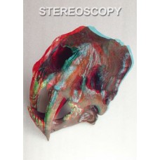 Stereoscopy # 83 (Issue 3.2010)