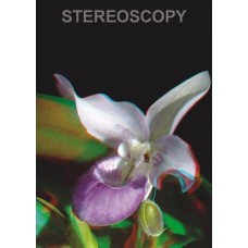 Stereoscopy # 88 (Issue 4.2011)