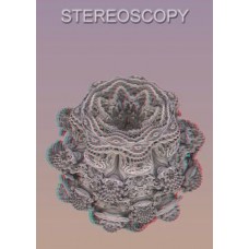 Stereoscopy # 89 (Issue 1.2012)